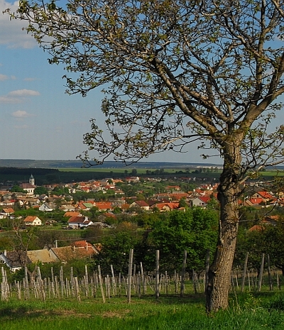 Blick auf Etyek