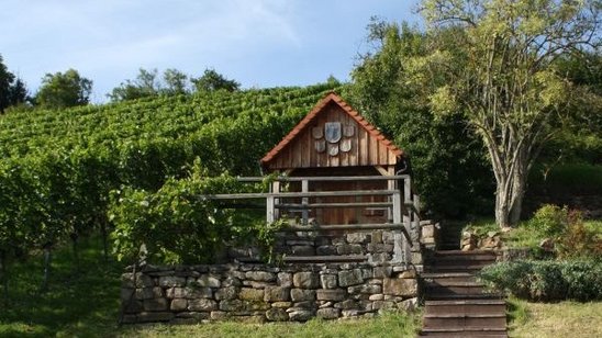 Ansicht Wengerthäusle